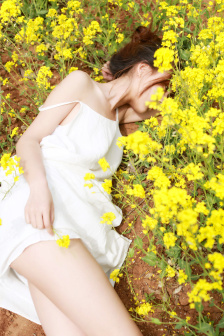 草丛里的秘密